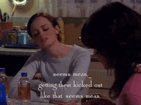 season 5 netflix GIF by Gilmore Girls 