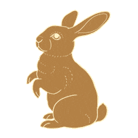 Bunny Rabbit Sticker by Kirbee Lawler