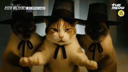 틴더스 GIF