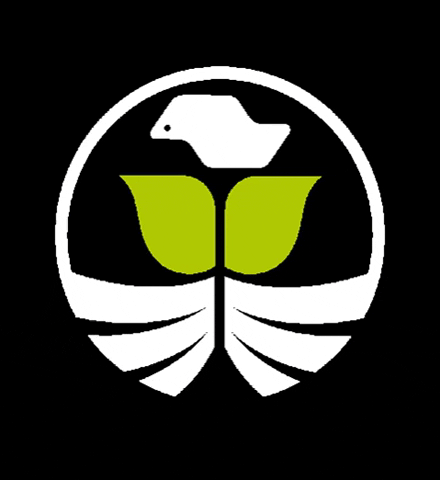 mkt_soesp giphygifmaker agro semente agropecuaria GIF