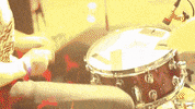 live show gig GIF by Infinity Cat Recordings