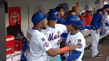 Celebrate Home Run GIF by New York Mets