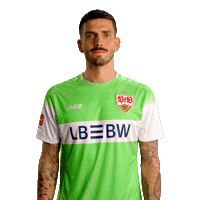 Sorry Fabian Bredlow Sticker by VfB Stuttgart 1893