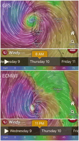 Milton Gfs GIF by Hurricane Productions