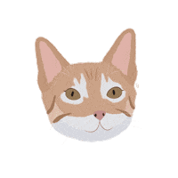 Cat Meow Sticker