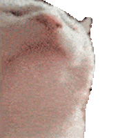 fortunavisual giphyupload Sticker