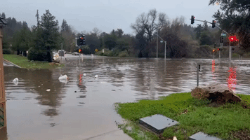 Evacuation Orders Issued as Flooding Hits Santa Cruz County