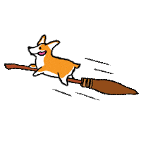 harry potter corgi Sticker by Team BP