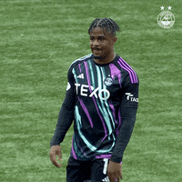AberdeenFC football soccer silly afc GIF