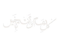 Illustration Typography Sticker