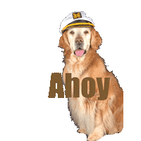 Golden Retriever Dog Sticker