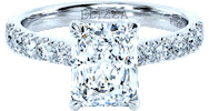 Platinum Engagement Ring Sticker by ELIZZA Fine Jewellery