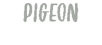 Pigeon Sticker by The Blooming Nest
