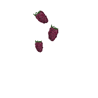 CalitoGang yummy fruits parrot berries Sticker