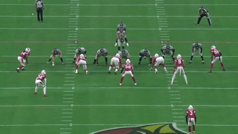 xocoveza giphyupload GIF