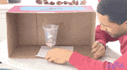 Tv Show Television GIF by WGBH Boston