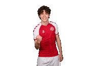 Euro 2020 Futebol Sticker by UEFA