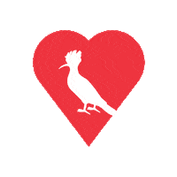 moda futebol Sticker by Reserva