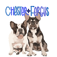 French Bulldogs Sticker