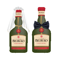 Portugal Festa Sticker by Licor Beirão