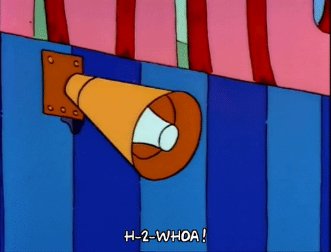 Season 2 GIF by The Simpsons