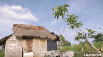 Timeshare not what you expected?