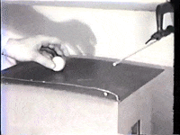 pigeon pomba ping-pong GIF