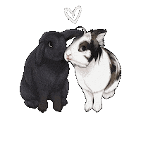 Bunny Rabbit Sticker