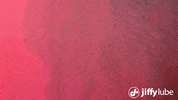 Republic Fc Sleeping GIF by Sacramento Republic FC