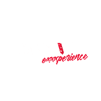 Sexy Experience Sticker by Erotic Exxxperience