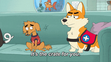 Punish Season 1 GIF by HouseBrokenFOX