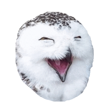 bird laughing STICKER by imoji