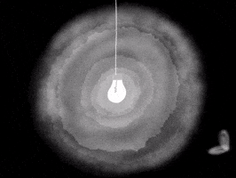 Lightbulb Moth GIF by Barbara Pozzi