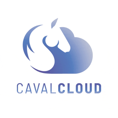 Cavalcloud cavalcloud GIF
