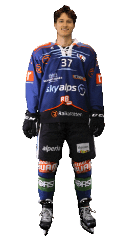 Ice Hockey Sport Sticker by Rittner Buam