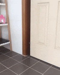 madmoizelledotcom  GIF