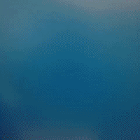selfie GIF by hazelst