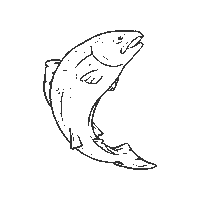 BiosfarVanerskargarden salmon lax unesco fisk Sticker