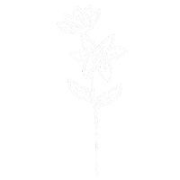 May Flower Sticker