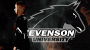 gomustangsports volleyball gomustangsports stevensonuniversity stangnation GIF