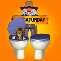 Saturday Cowboy GIF
