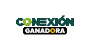 Ferreteria Conexion Sticker by Dyna & Cia