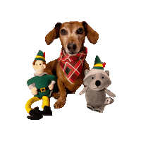 Buddy The Elf Sticker by Geekster Pets
