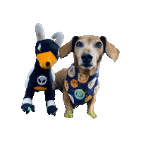 Pokemon Tamagotchi Sticker by Geekster Pets