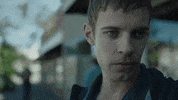mrmercedestv dog season 1 puppy harry GIF