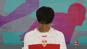 Vfb Stuttgart Football GIF by Bundesliga