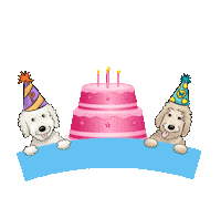 Pancakeandwaffles dog collar dog birthday birthday dog happy birthday dog Sticker