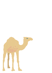 Celebration Fireworks Sticker by Side Hustle Brews