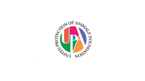 Upa Sticker by upafoundation