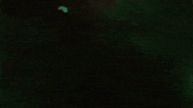 donovan wolfington GIF by Topshelf Records
